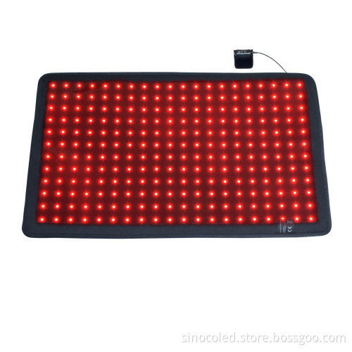 Red Light Therapy Instruments for Equine and Pet Care
